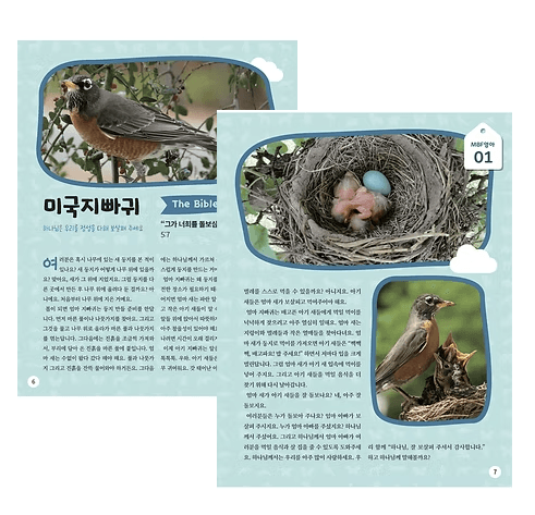 천연계로 아장아장 내부