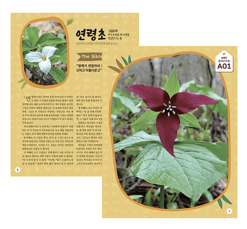 천연계가 소곤소곤 내부